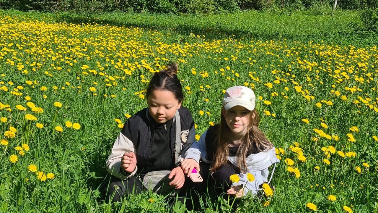 Осенний лагерь