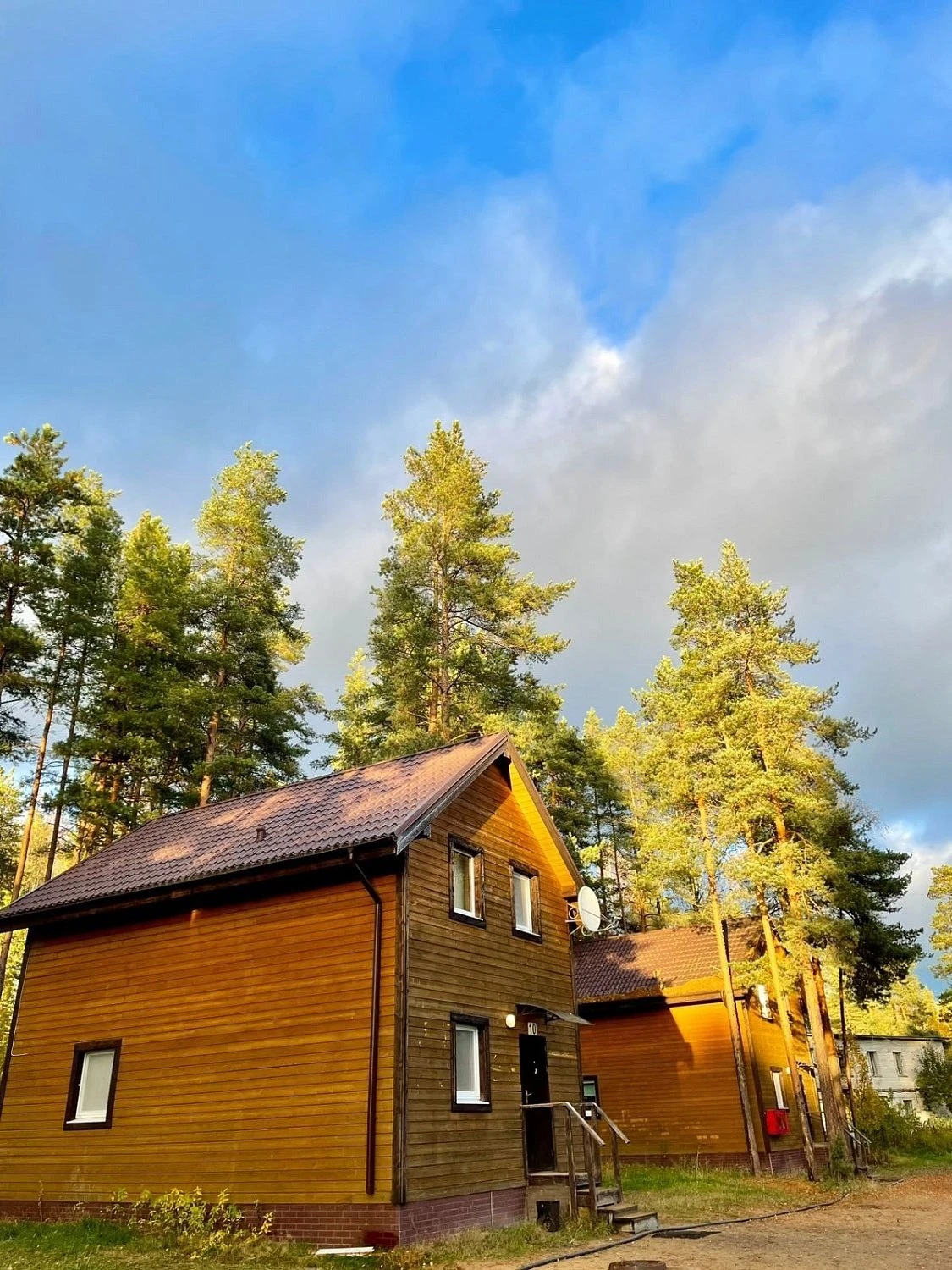 Школьный лагерь