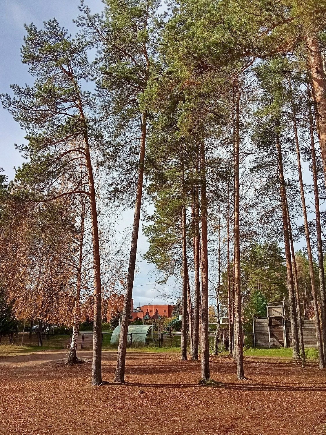 Осенний лагерь