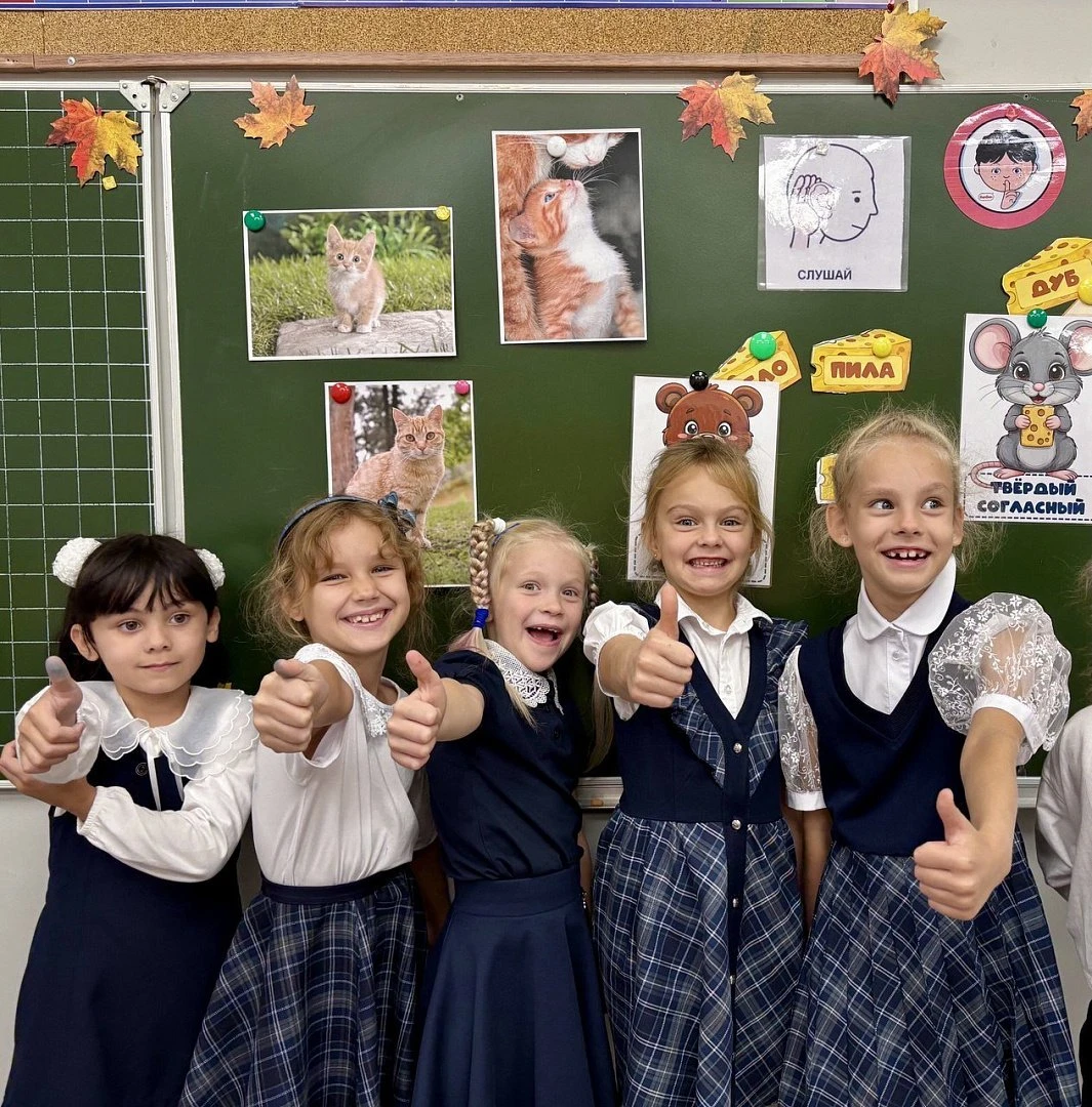 АКАДЕМИЯ ПОЧЕМУЧЕК