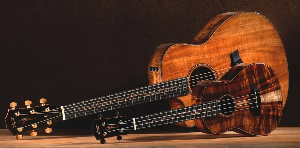Гитара и укулеле