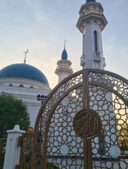 Главная страница